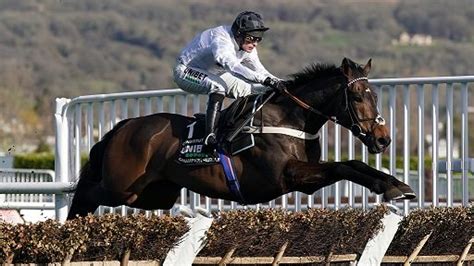 asianbookie forum horse racing